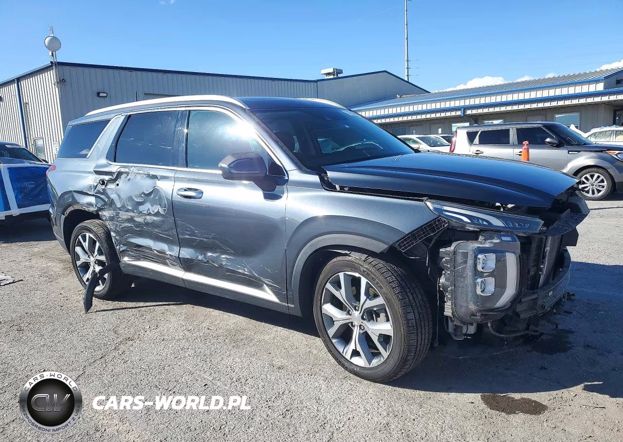 2020 Hyundai Palisade Sel VIN:KM8R34HE5LU117149 - 4