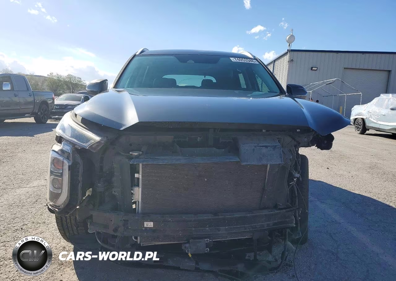 2020 Hyundai Palisade Sel VIN:KM8R34HE5LU117149 - 5