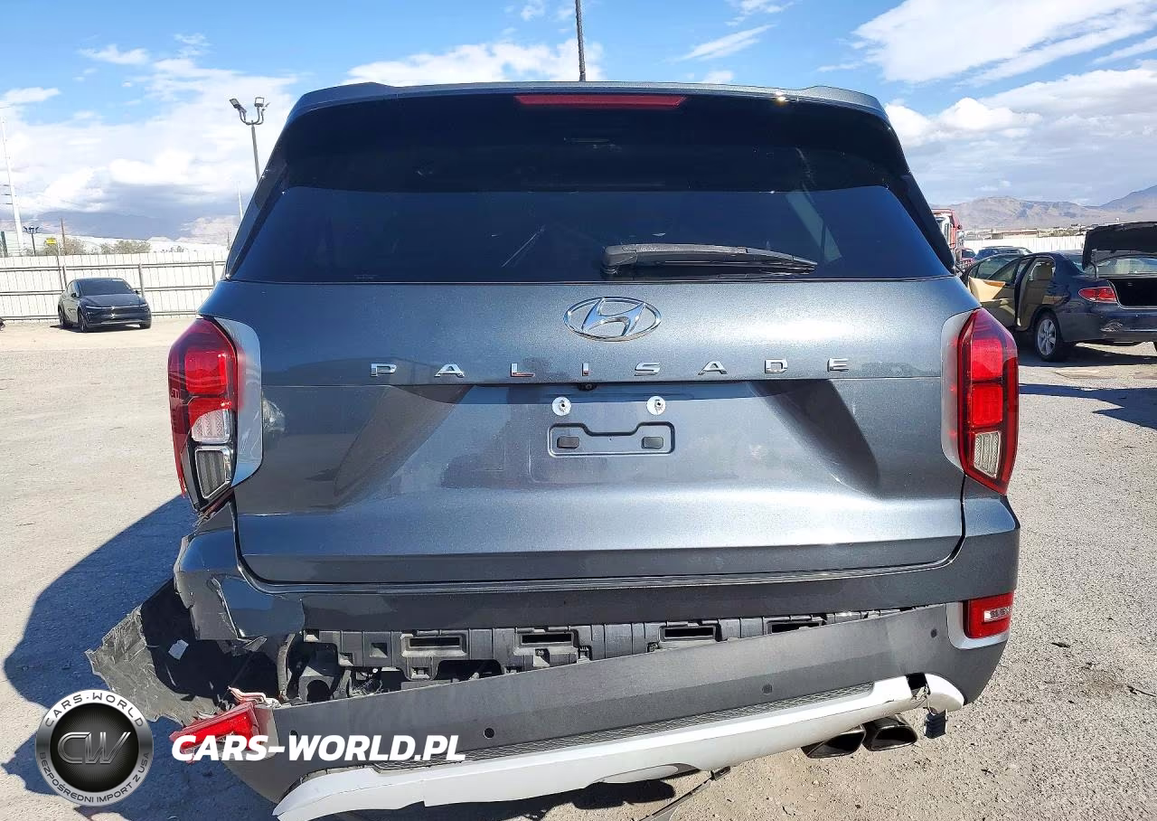 2020 Hyundai Palisade Sel VIN:KM8R34HE5LU117149 - 6