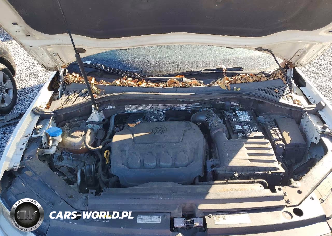 2019 Volkswagen Tiguan S VIN:3VV1B7AX1KM039393 - 12