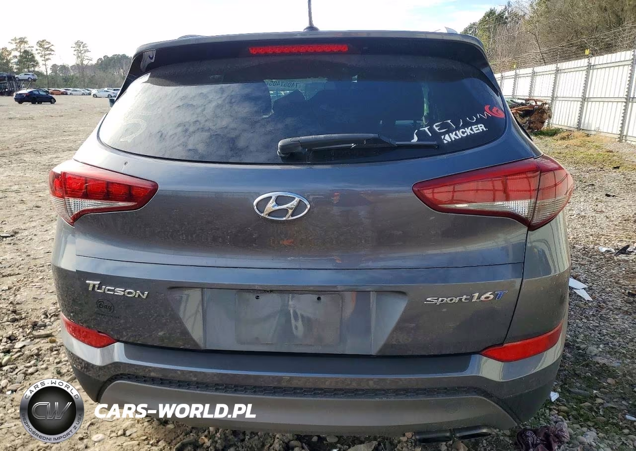 2016 Hyundai Tucson VIN:KM8J33A27GU140574 - 6