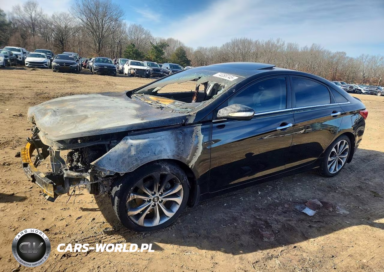2013 Hyundai Sonata Se