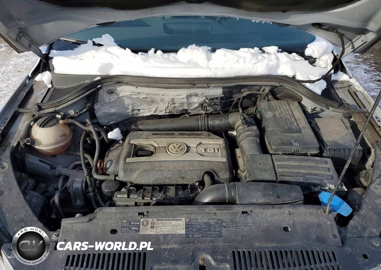 2011 Volkswagen Tiguan S VIN:WVGBV7AX0BW518992 - 12