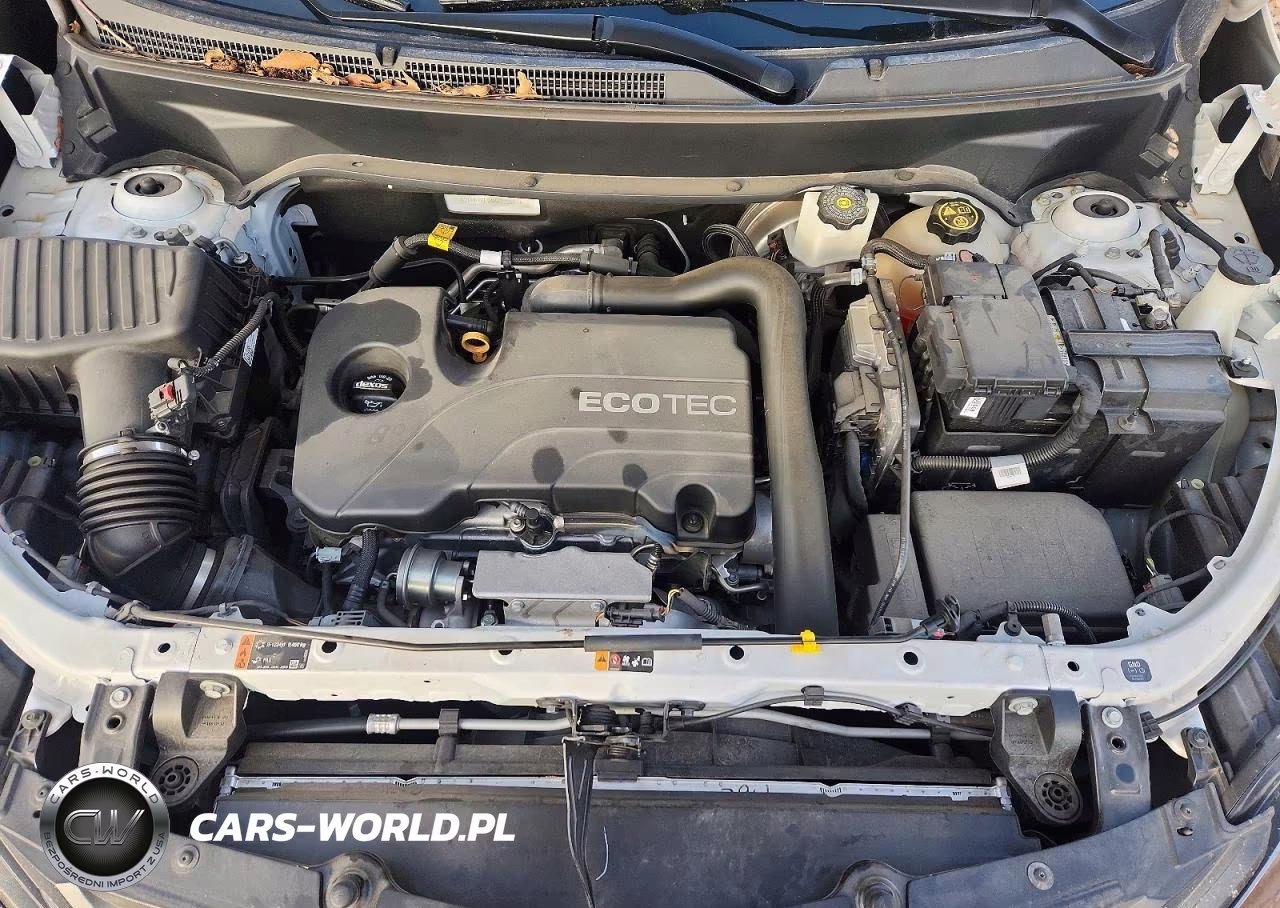 2019 Chevrolet Equinox Lt VIN:2GNAXKEV4K6222607 - 12