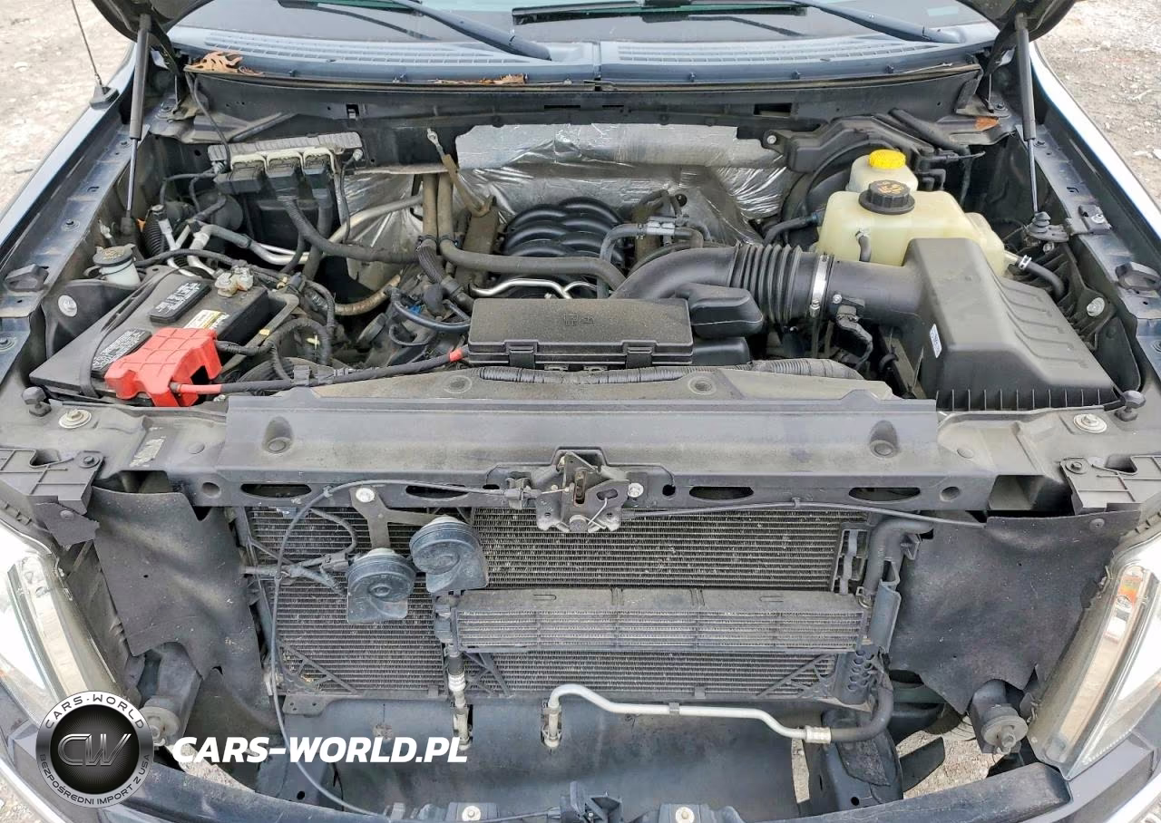 2014 Ford F150 Supercrew VIN:1FTFW1EF9EKG09207 - 11