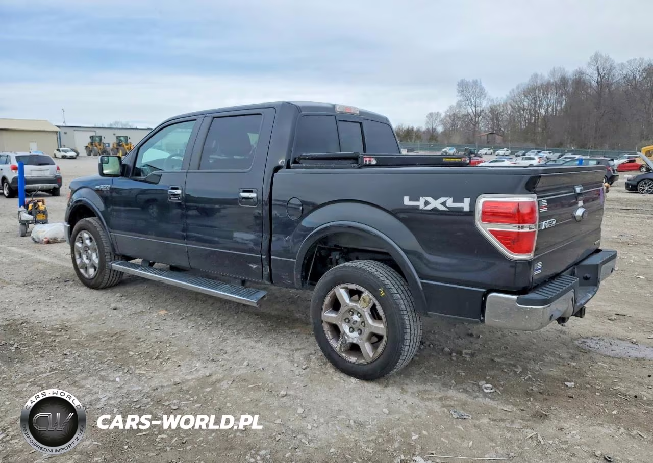 2014 Ford F150 Supercrew VIN:1FTFW1EF9EKG09207 - 2