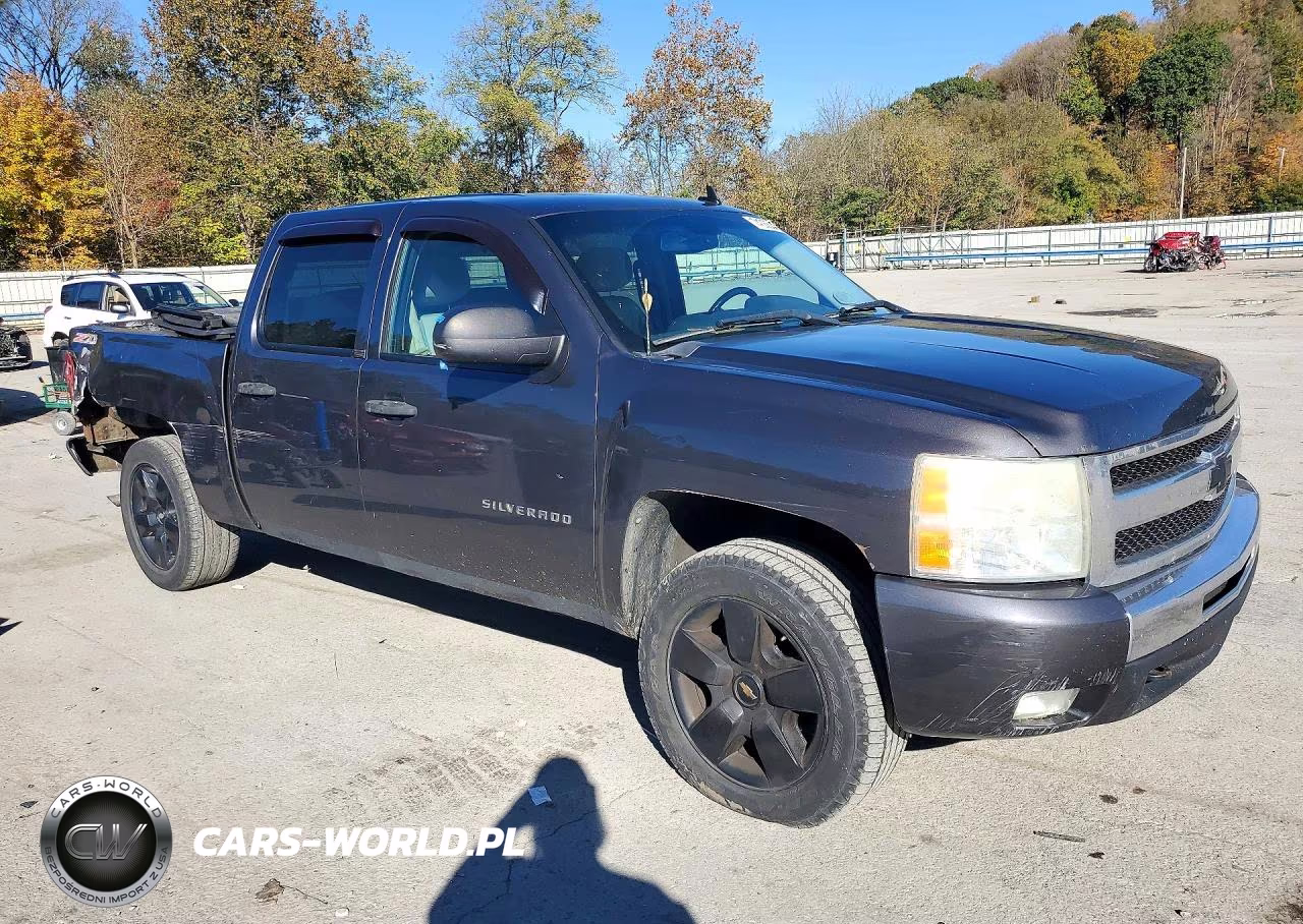 2010 Chevrolet Silverado K1500 Lt VIN:3GCRKSE33AG236932 - 4