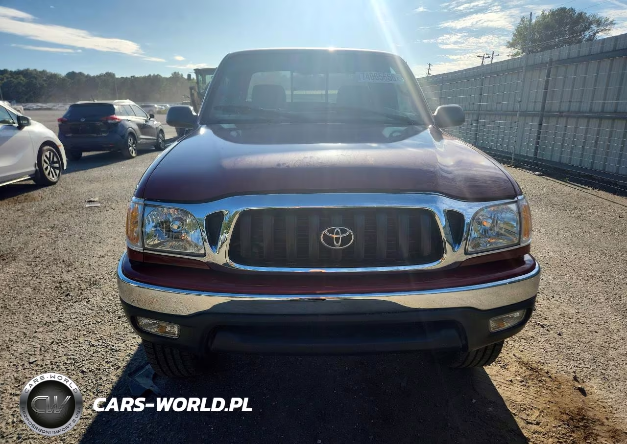 2004 Toyota Tacoma Prerunner VIN:5TESM92N84Z319257 - 5