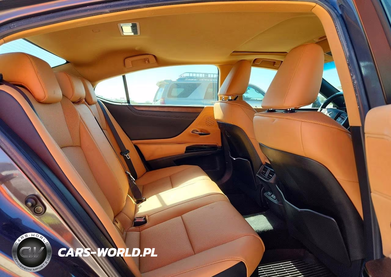 2023 Lexus Es 300H Base VIN:58ADA1C1XPU029005 - 10