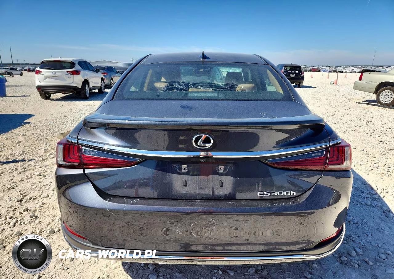 2023 Lexus Es 300H Base VIN:58ADA1C1XPU029005 - 6