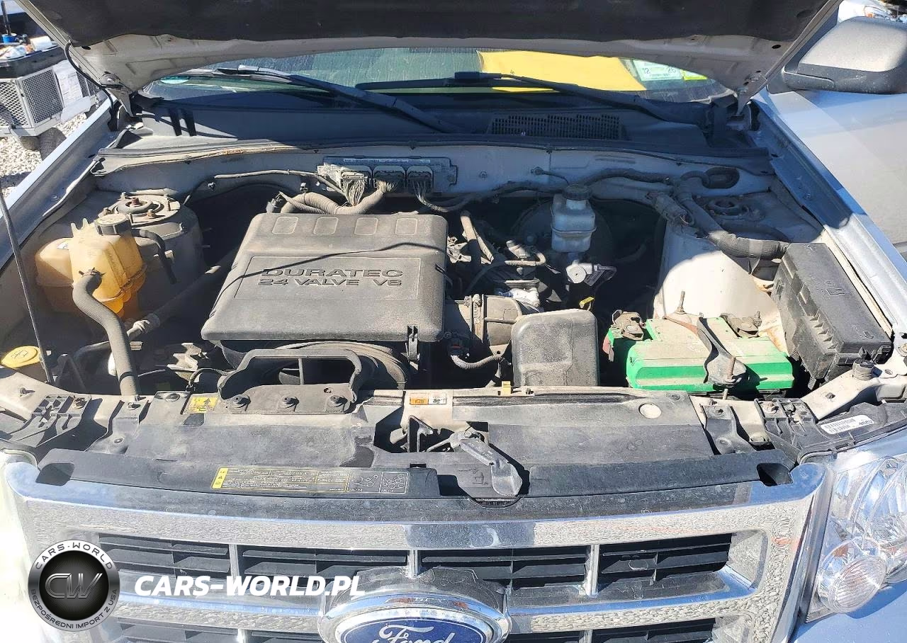 2010 Ford Escape Xlt VIN:1FMCU0DGXAKA71460 - 11