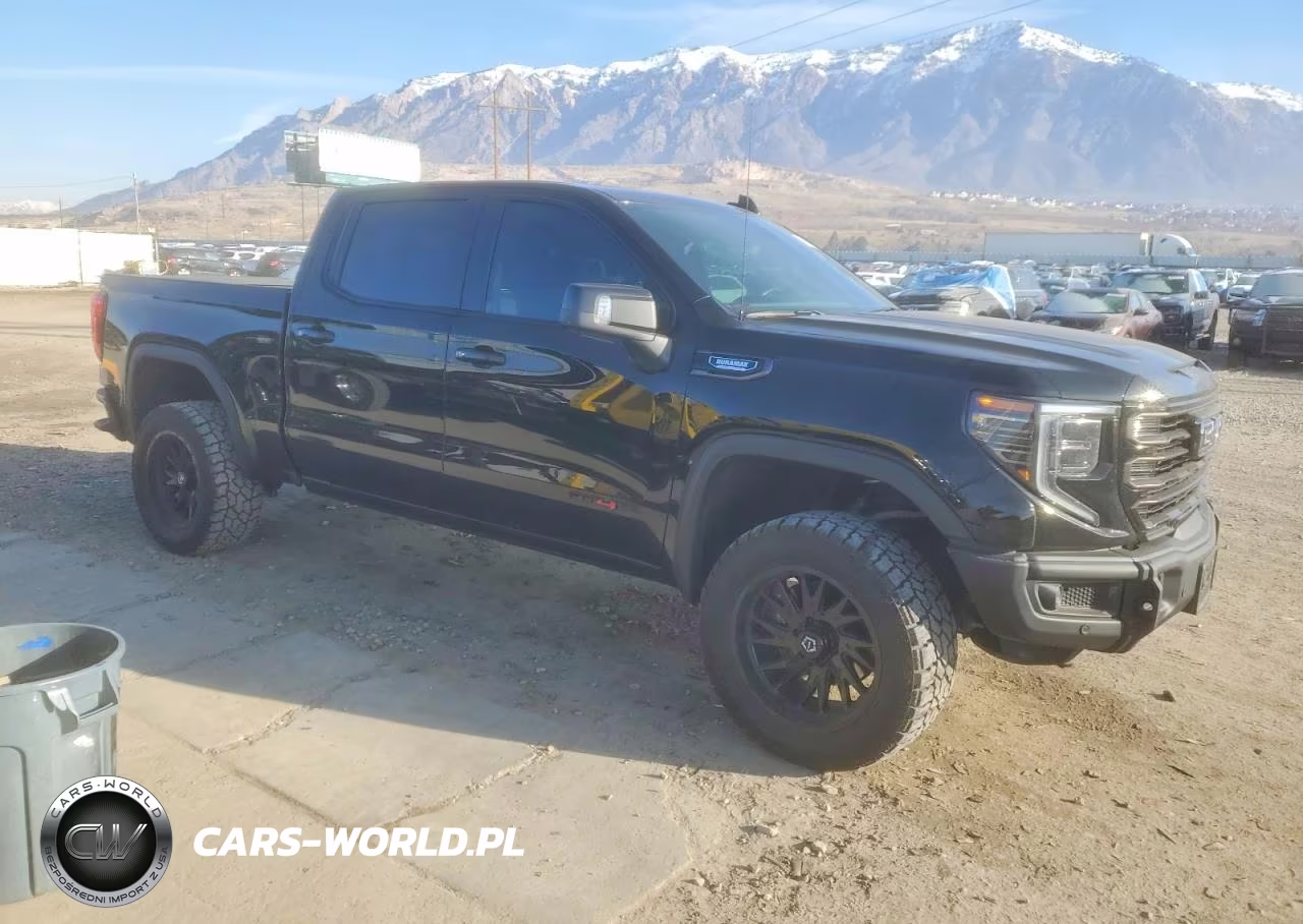2024 GMC Sierra K1500 At4X VIN:3GTUUFE82RG334952 - 4