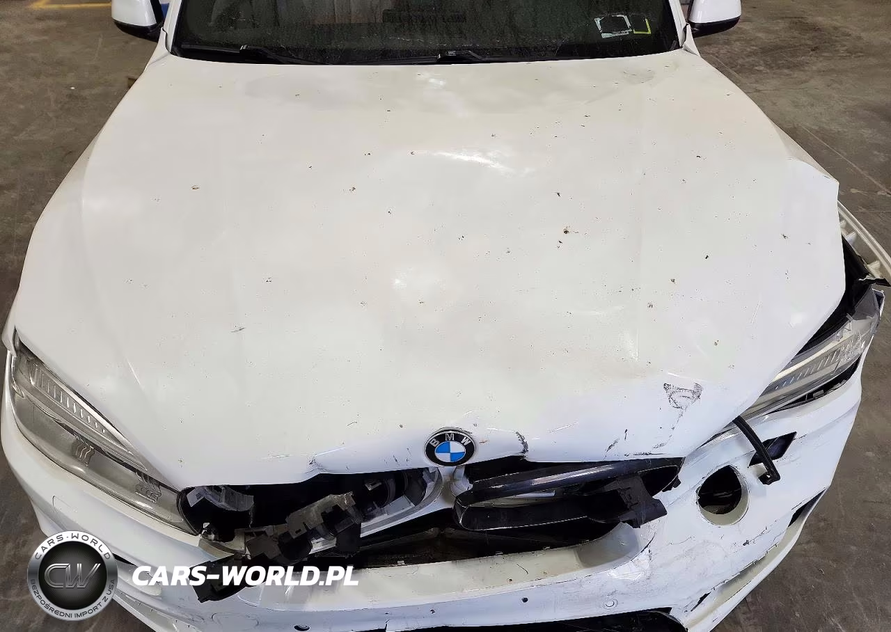 2015 BMW X5 xDrive35I VIN:5UXKR0C55F0K67762 - 12
