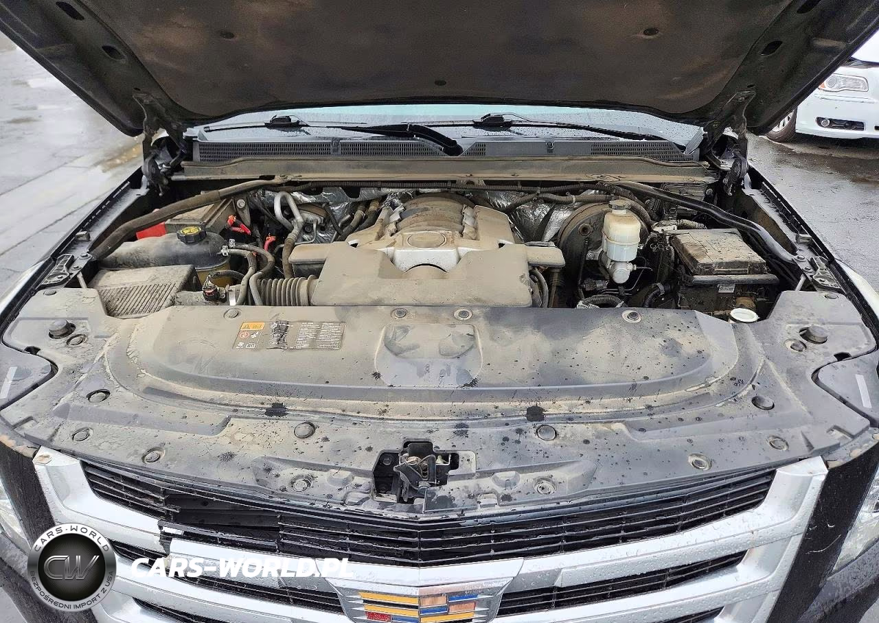 2015 Cadillac Escalade Luxury VIN:1GYS4MKJ3FR744460 - 12