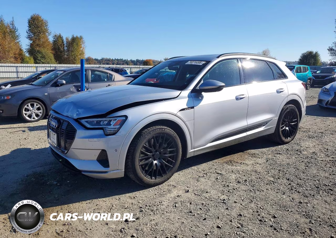2021 Audi E-Tron Premium – zdjęcie 1 z 13