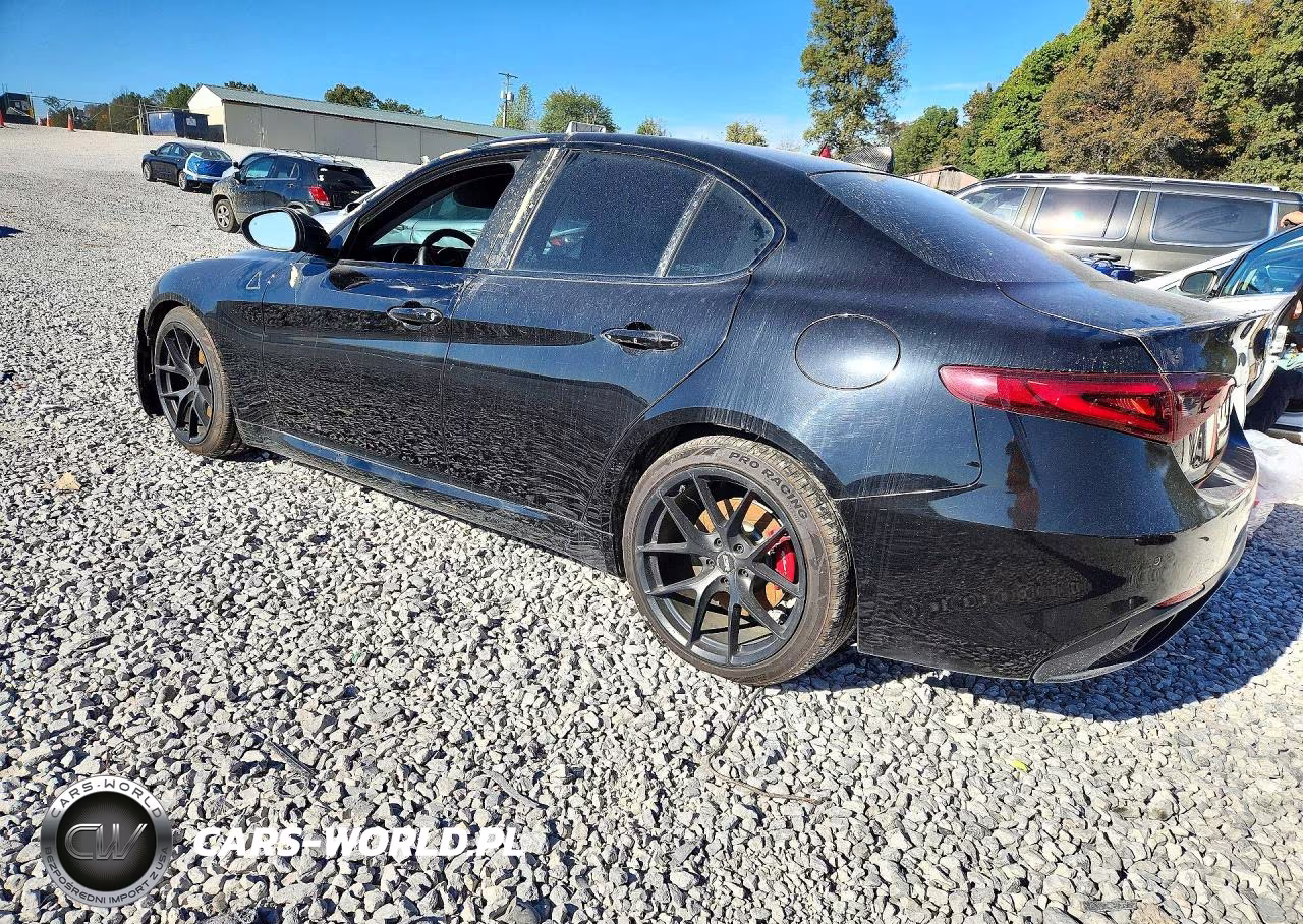 2019 Alfa Romeo Giulia VIN:ZARFAMAN3K7616218 - 2
