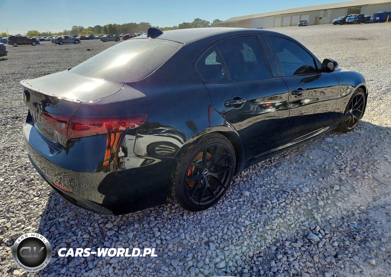 2019 Alfa Romeo Giulia VIN:ZARFAMAN3K7616218 - 3