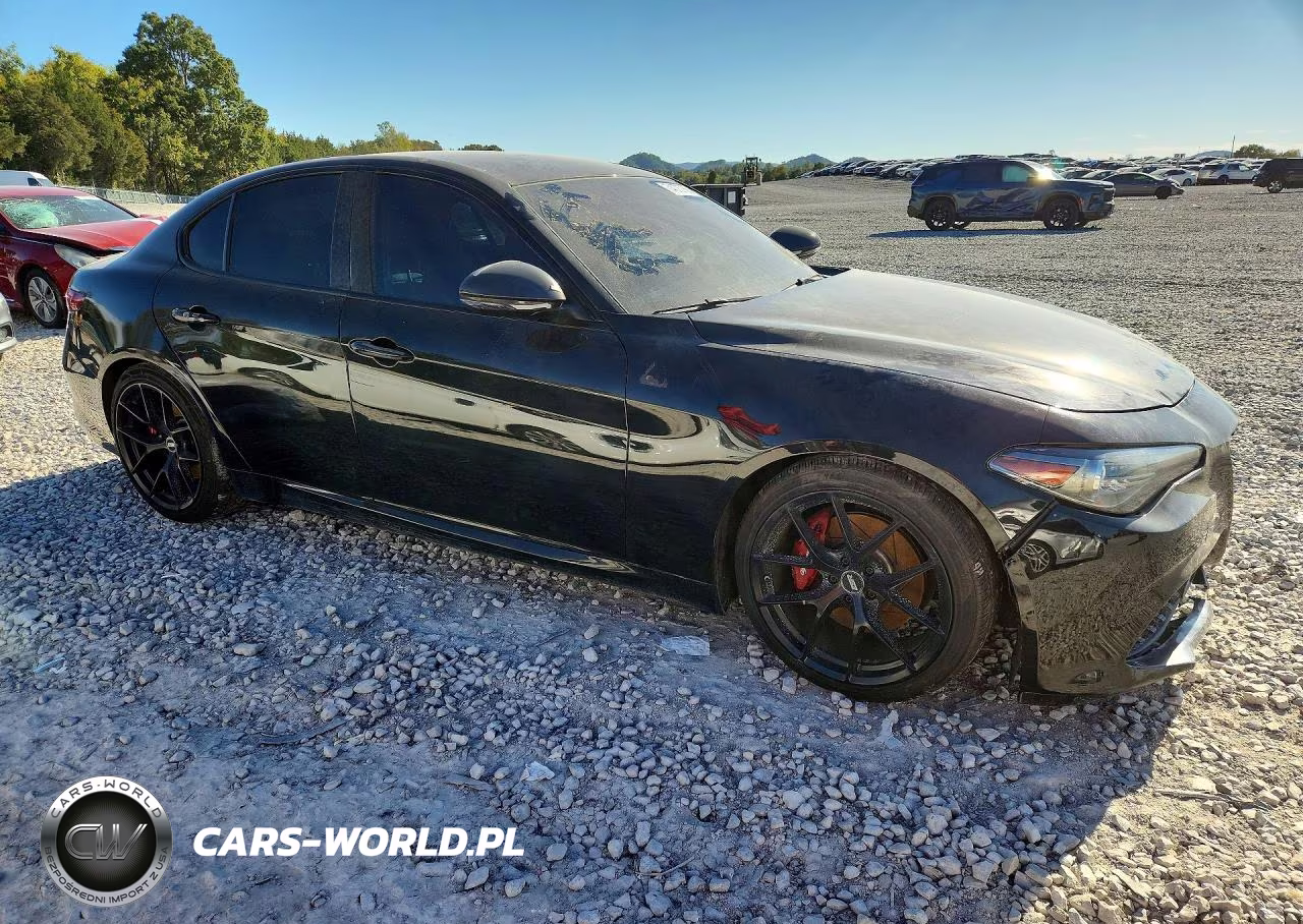 2019 Alfa Romeo Giulia VIN:ZARFAMAN3K7616218 - 4