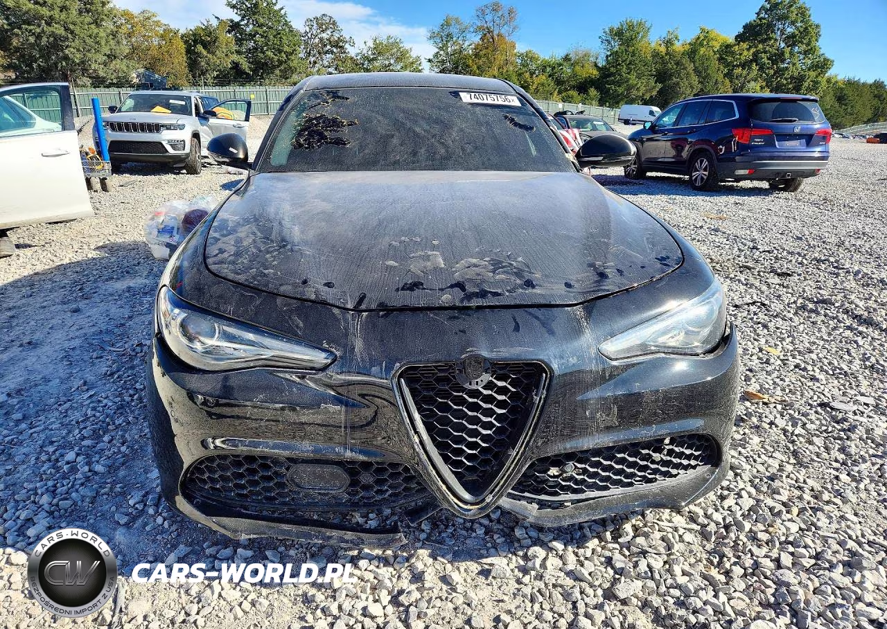 2019 Alfa Romeo Giulia VIN:ZARFAMAN3K7616218 - 5