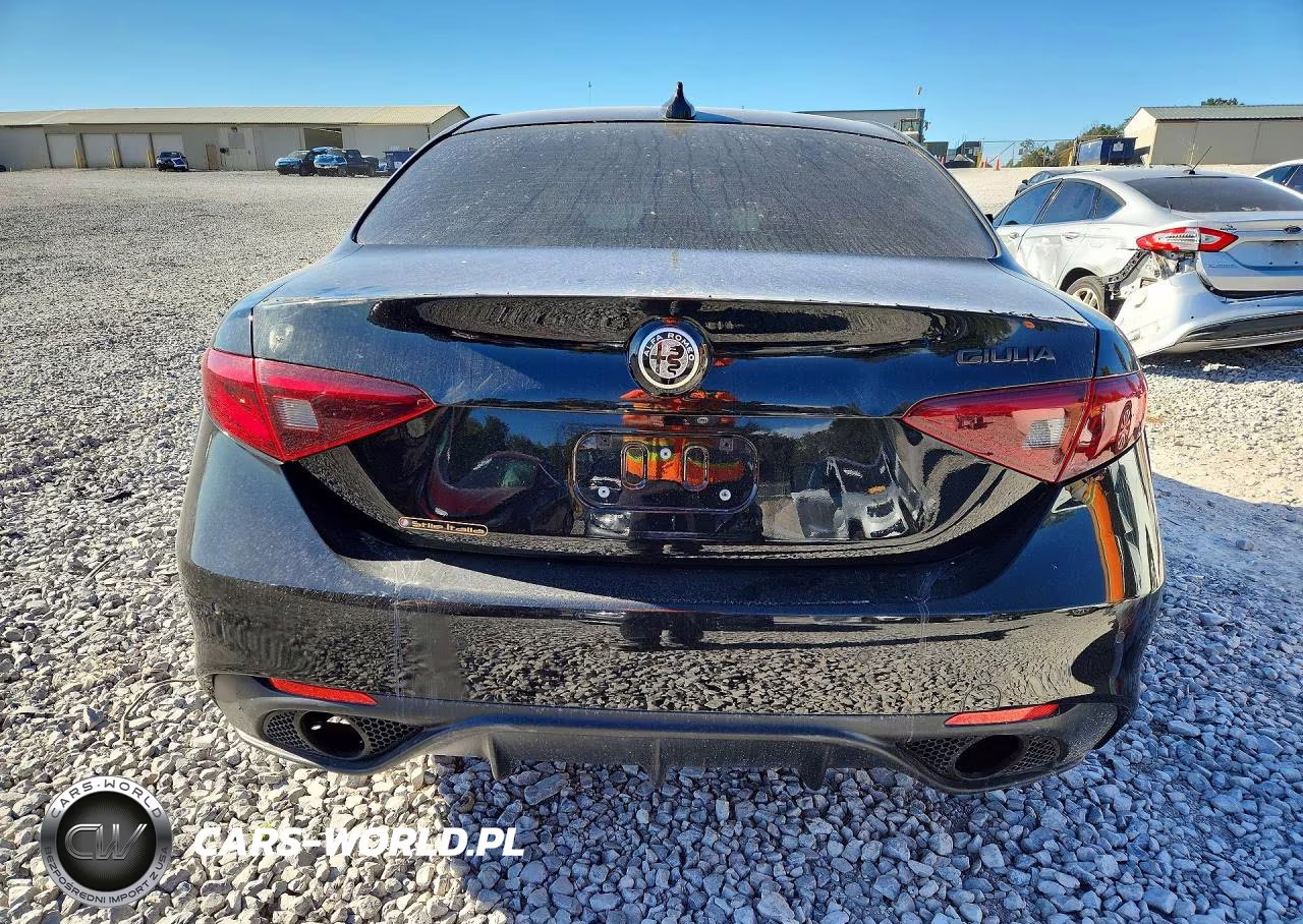 2019 Alfa Romeo Giulia VIN:ZARFAMAN3K7616218 - 6