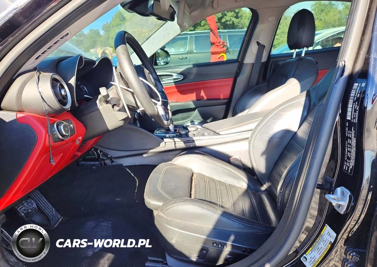 2019 Alfa Romeo Giulia VIN:ZARFAMAN3K7616218 - 7