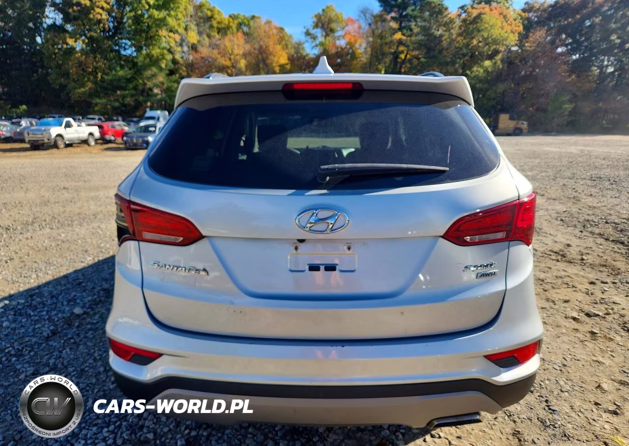 2018 Hyundai Santa Fe Sport 2.4L VIN:5XYZUDLB6JG561721 - 6