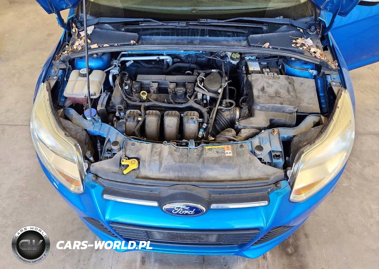 2013 Ford Focus Se VIN:1FADP3F27DL296104 - 11