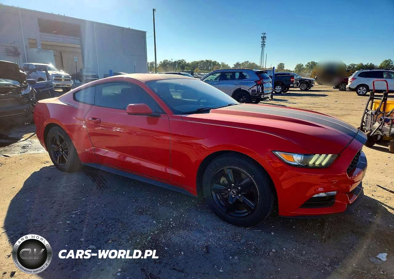 2017 Ford Mustang VIN:1FA6P8AM1H5271899 - 4