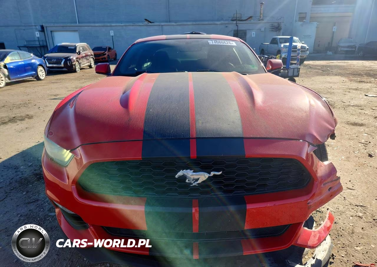 2017 Ford Mustang VIN:1FA6P8AM1H5271899 - 5