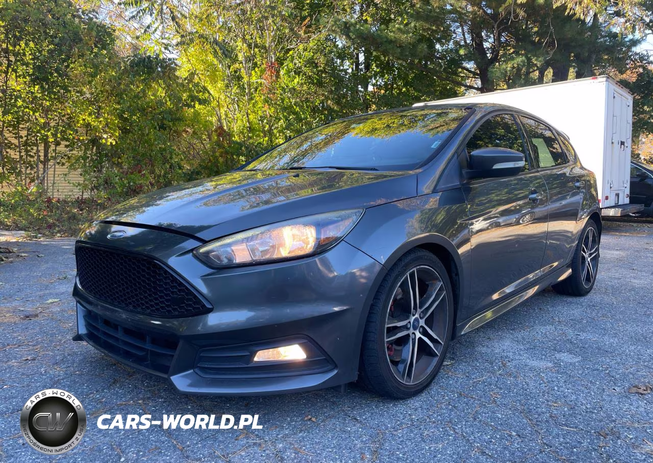 2018 Ford Focus St VIN:1FADP3L99JL213446 - 2