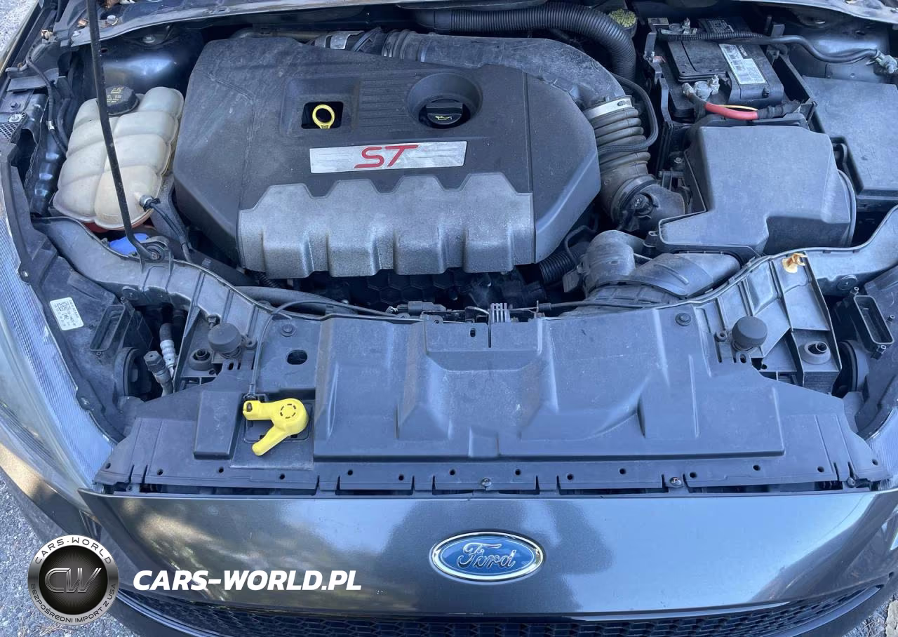 2018 Ford Focus St VIN:1FADP3L99JL213446 - 7