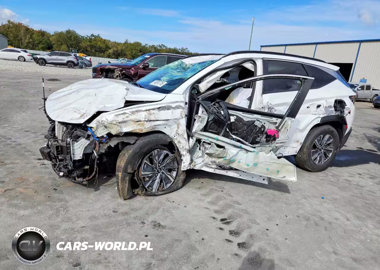 2022 Hyundai Tucson Blue