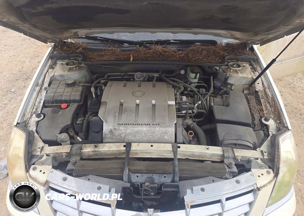 2011 Cadillac Dts Luxury Collection VIN:1G6KD5E62BU107587 - 11