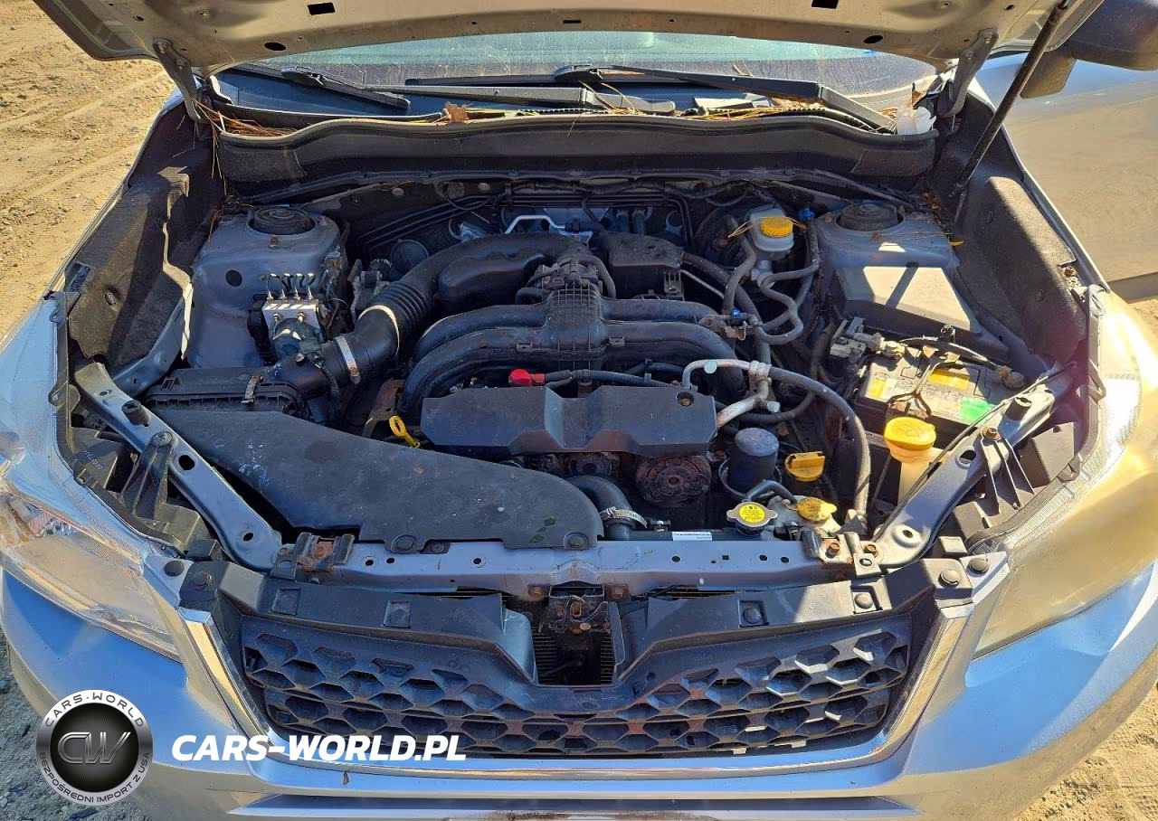 2014 Subaru Forester 2.5I VIN:JF2SJAAC2EH484655 - 11