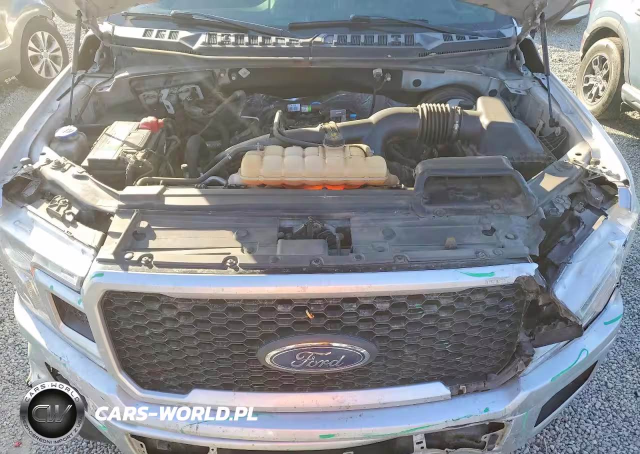 2019 Ford F150 Supercrew VIN:1FTEW1CPXKKC14620 - 11