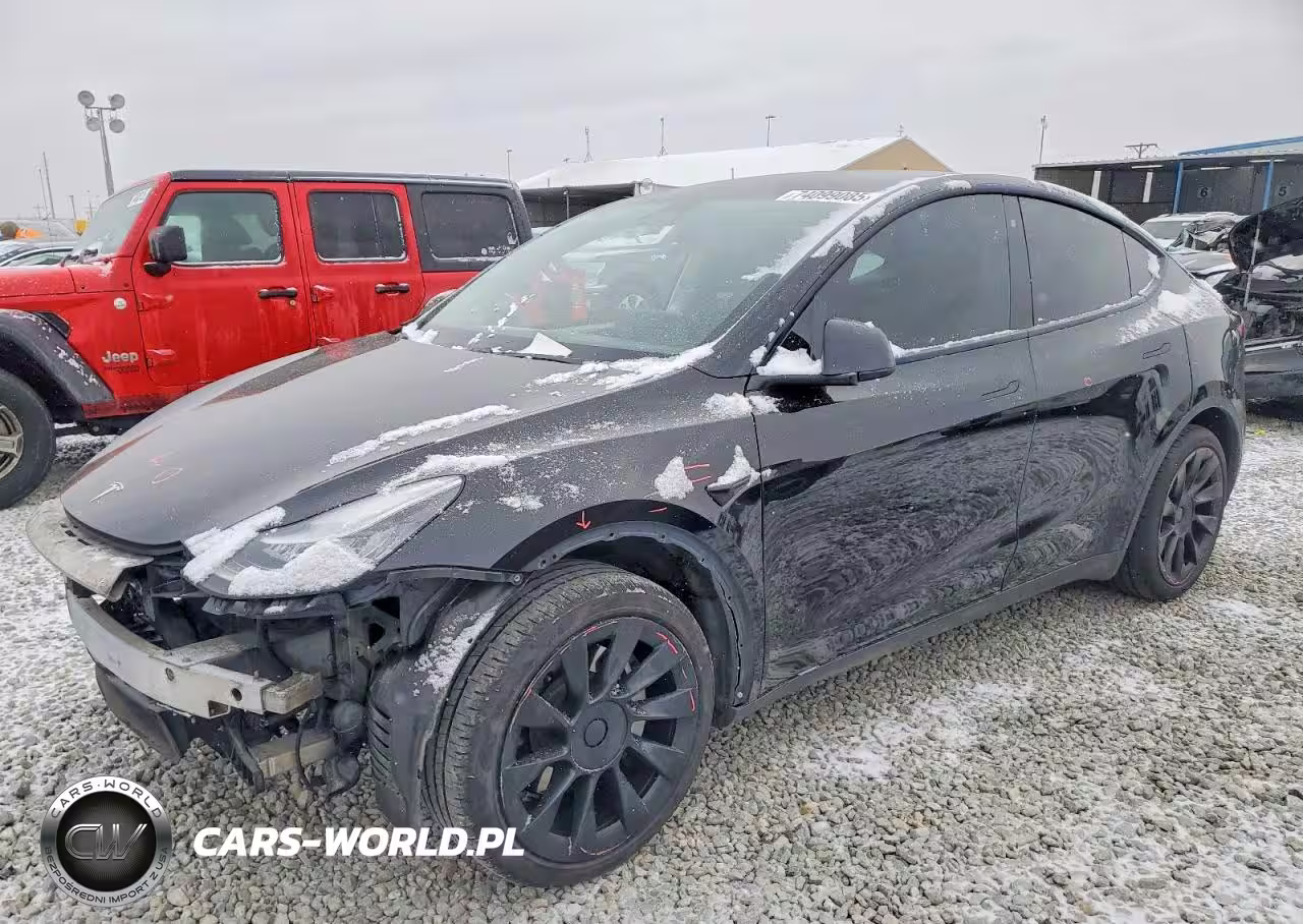2020 Tesla Model Y