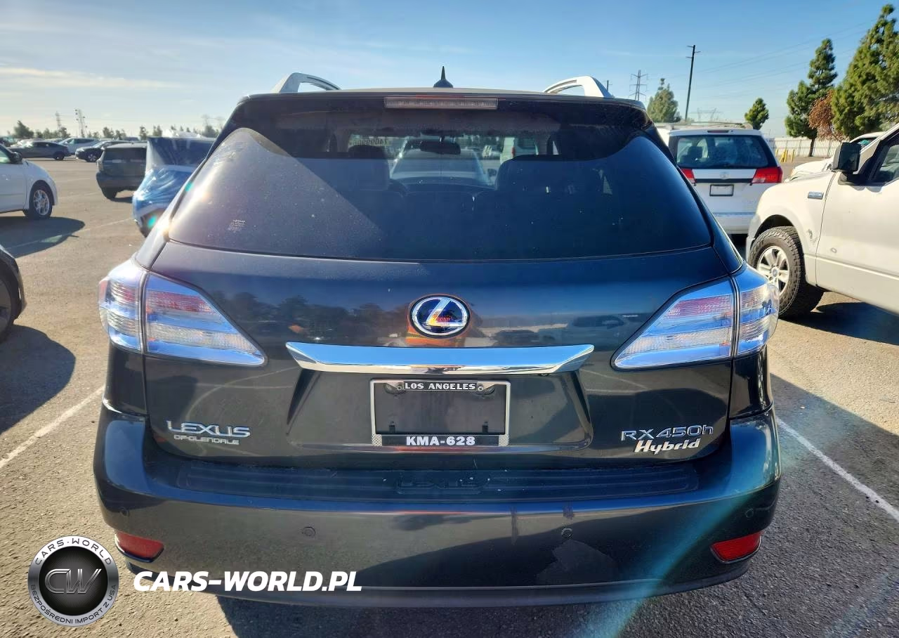 2010 Lexus Rx 450H VIN:JTJBC1BA0A2019212 - 6