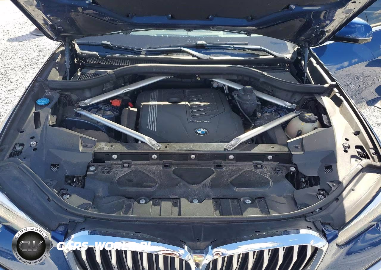 2019 BMW X5 xDrive40I VIN:5UXCR6C53KLL38179 - 12