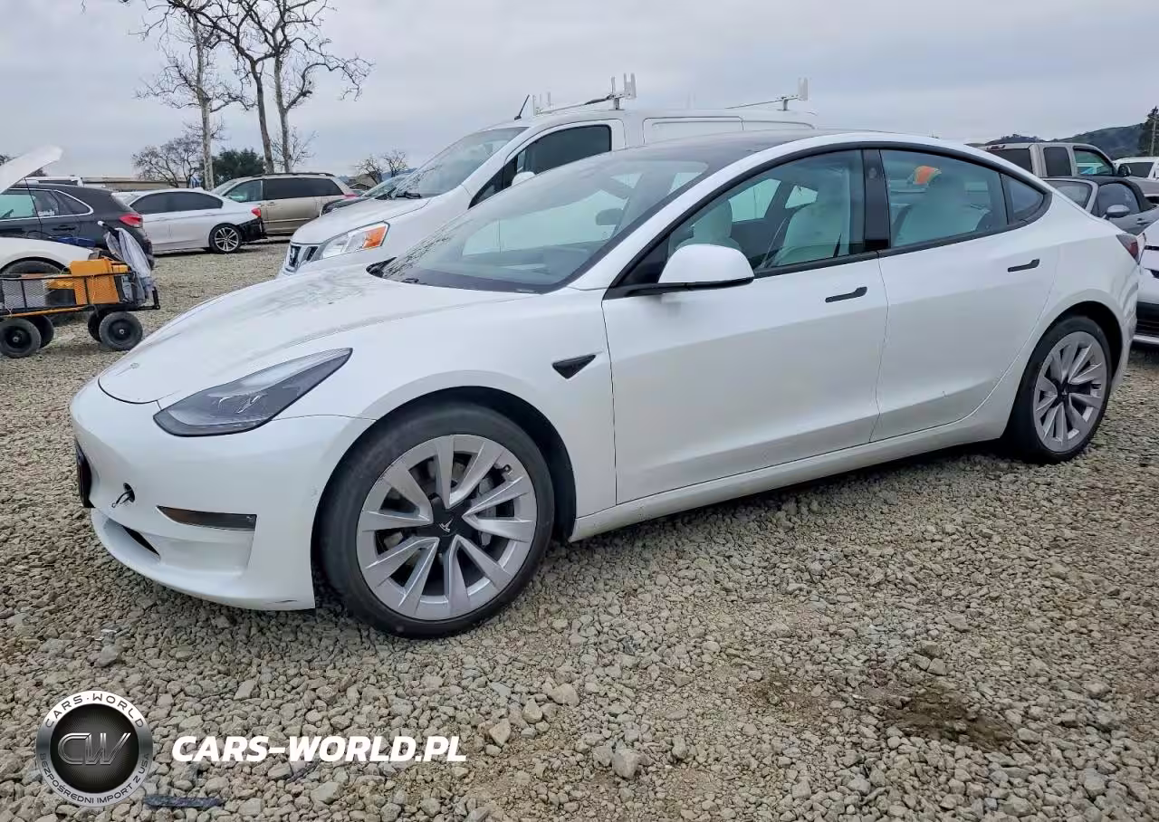 2021 Tesla Model 3