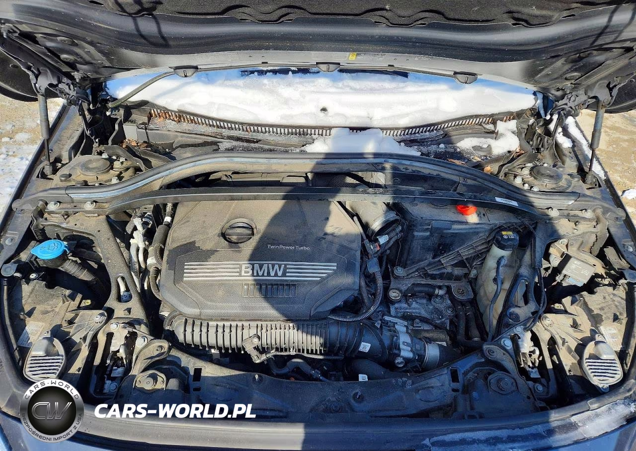 2020 BMW 228Xi VIN:WBA73AK06L7F52395 - 11