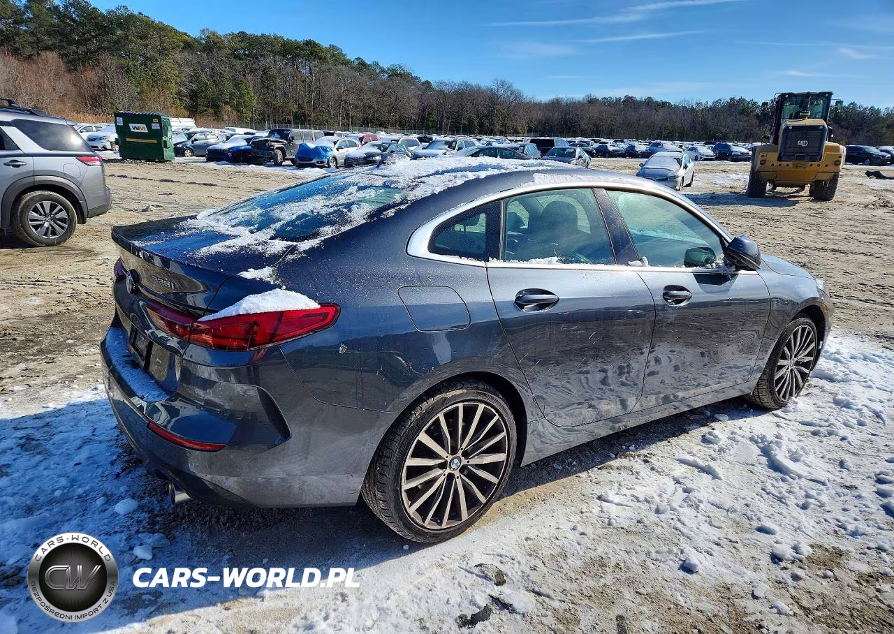 2020 BMW 228Xi VIN:WBA73AK06L7F52395 - 3