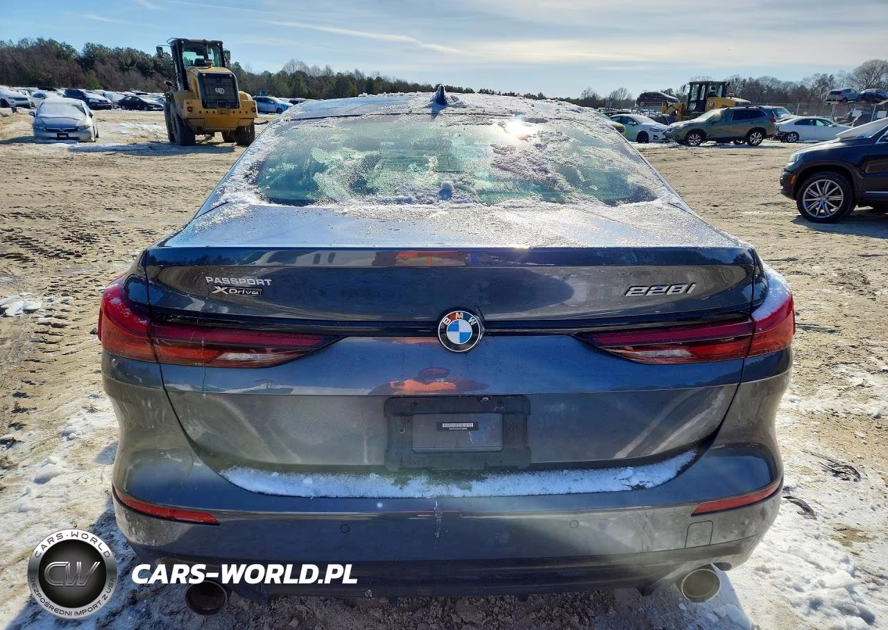 2020 BMW 228Xi VIN:WBA73AK06L7F52395 - 6