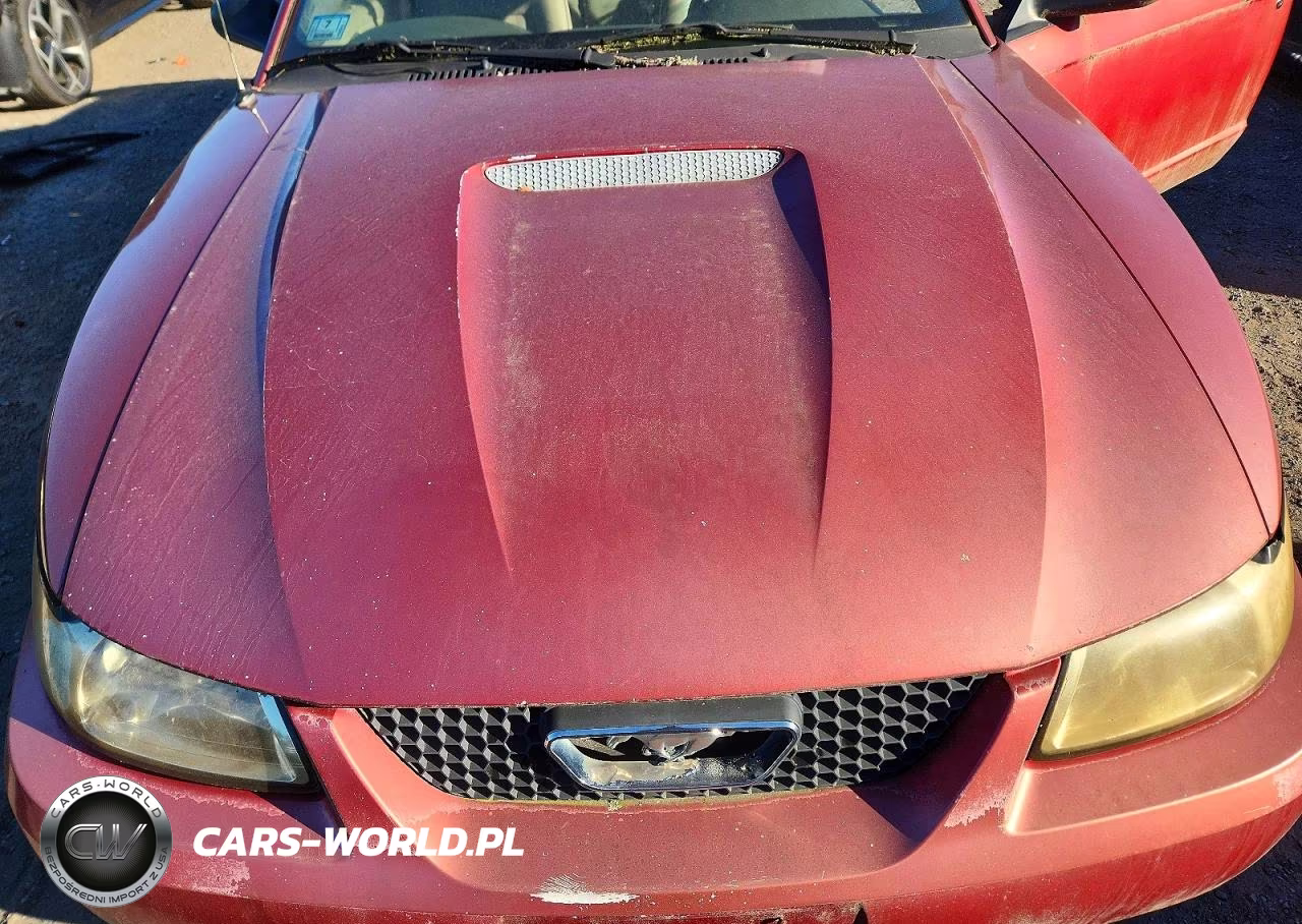 2001 Ford Mustang VIN:1FAFP444X1F238856 - 11