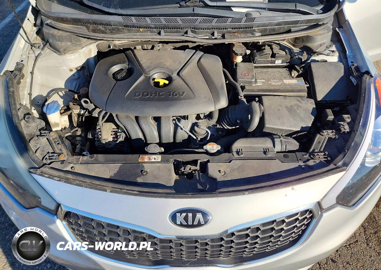 2015 Kia Forte Lx VIN:KNAFX4A66F5375710 - 11