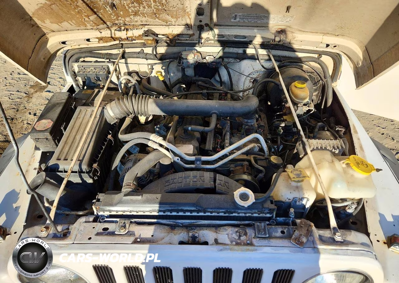 2004 Jeep Wrangler - Tj Sport VIN:1J4FA49S44P707452 - 12