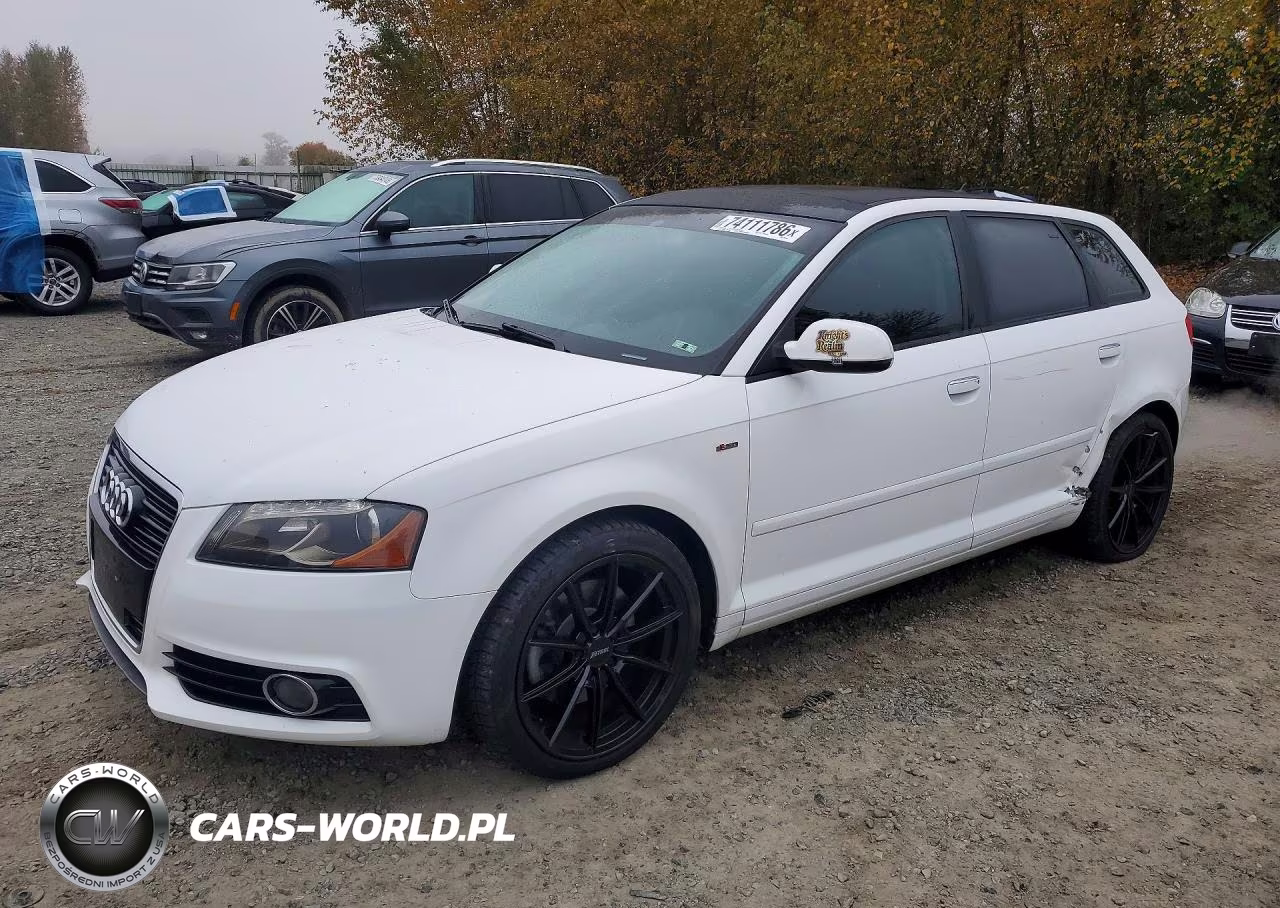 2013 Audi A3 Premium Plus VIN:WAUMFAFM5DA031399 - 1