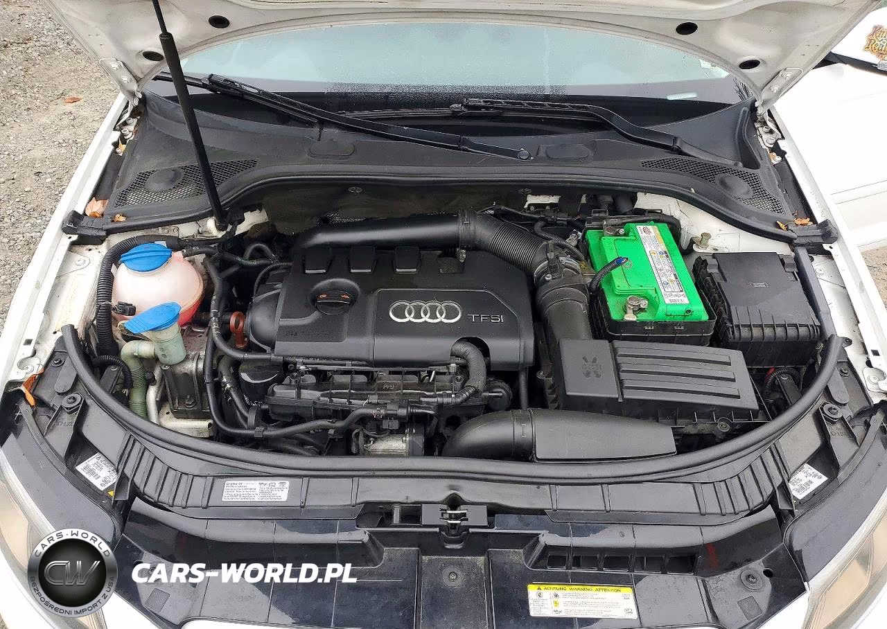 2013 Audi A3 Premium Plus VIN:WAUMFAFM5DA031399 - 12