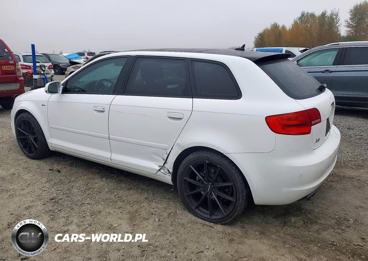 2013 Audi A3 Premium Plus VIN:WAUMFAFM5DA031399 - 2