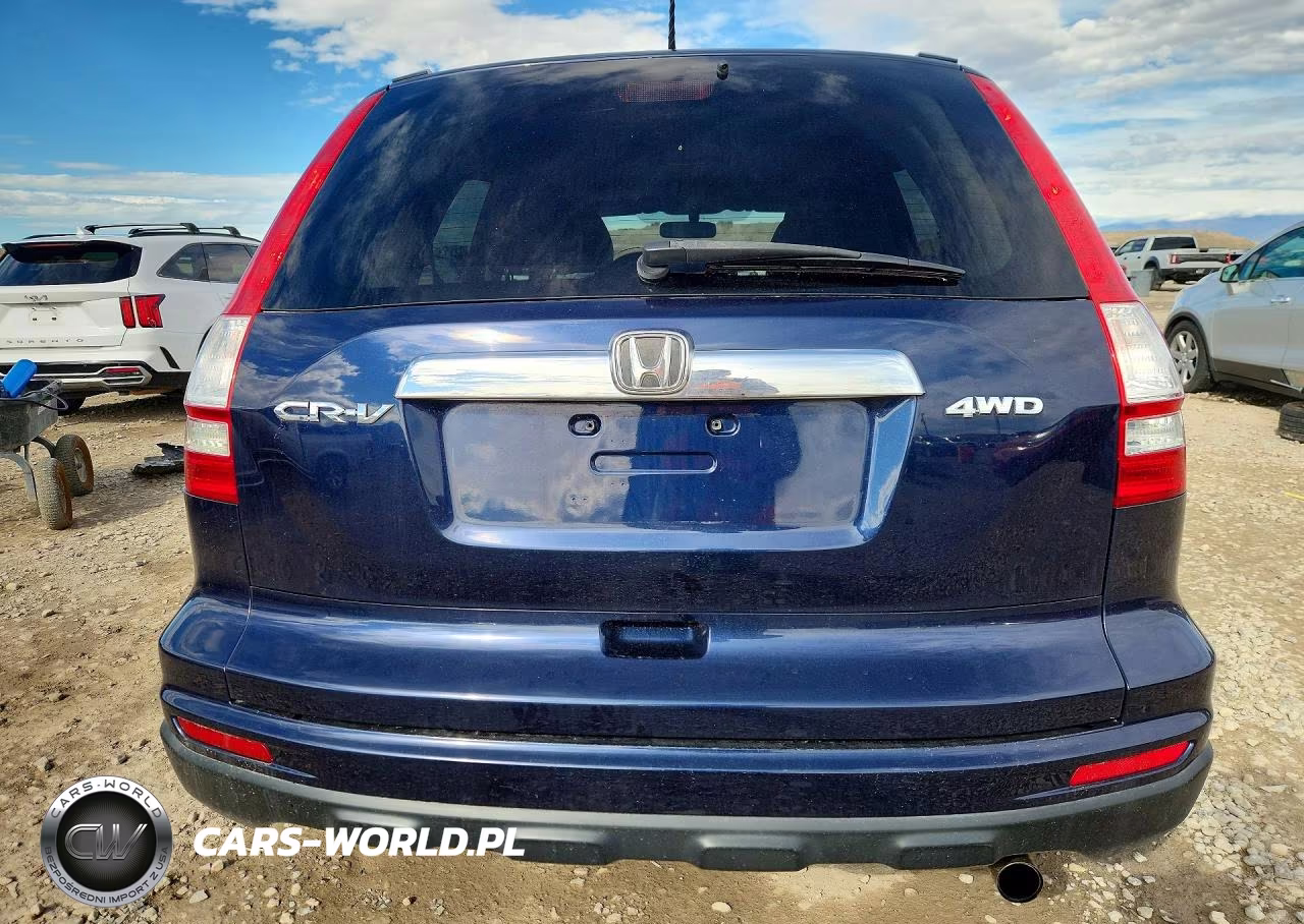 2010 Honda Cr-V Exl VIN:5J6RE4H71AL022696 - 6