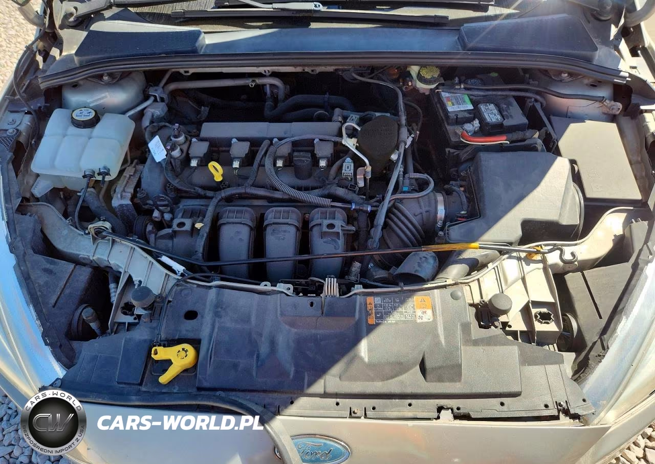 2016 Ford Focus Se VIN:1FADP3F28GL257963 - 11